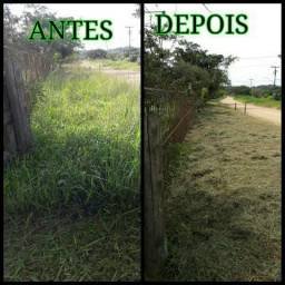 Limpeza de quintal em Maricá RJ